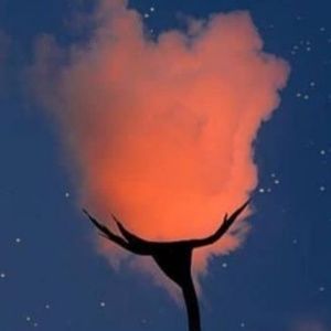 Meet your Posher, Zuwena